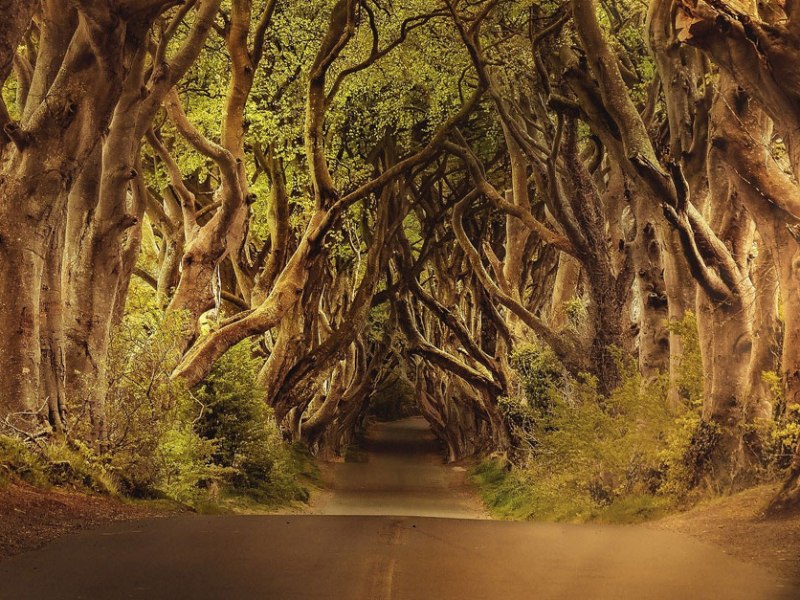 Irish Links to&nbsp;Halloween