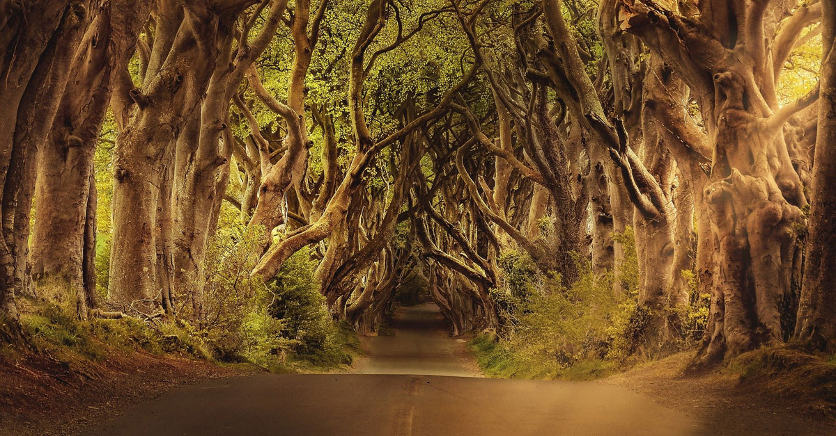 Irish Links to&nbsp;Halloween